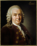 Portrait of Carl von Linné by The Rockefeller University