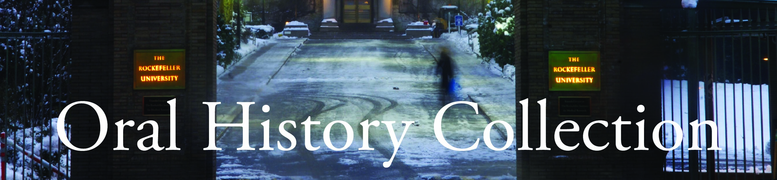 Oral History Collection