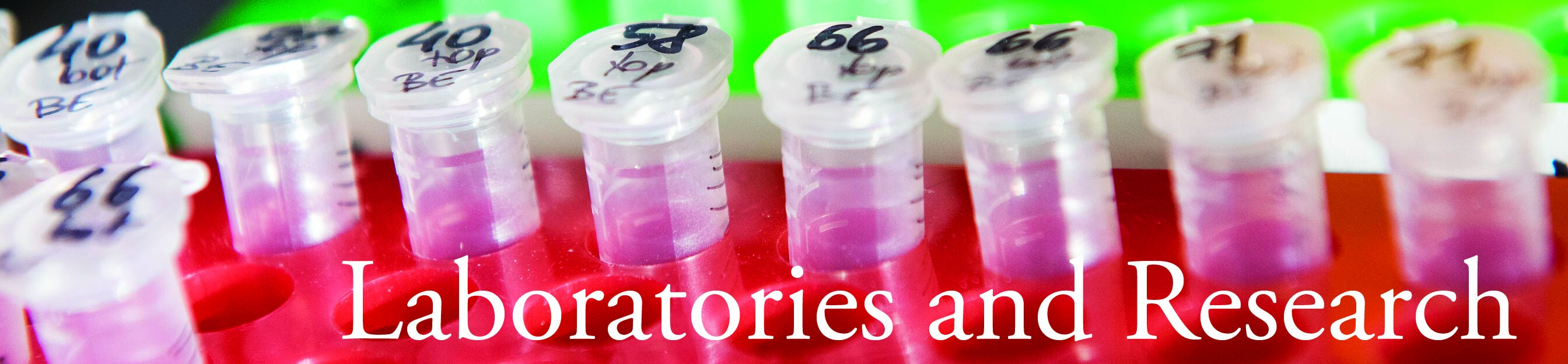 Laboratories and Research