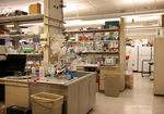 Blobel Laboratory. View no. 10, April 2018 by The Rockefeller University