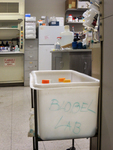 Blobel Laboratory. View no. 17, April 2018 by The Rockefeller University