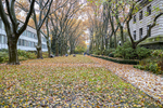 East Walk in Fall by Juan Rodriguez