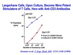 Langerhans Cells with Anti-CD3 Antibodies by The Rockefeller University