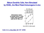 Mature Dendritic Cells by The Rockefeller University