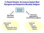To Resist Infection, the Immune System Must Recognize and Respond to Microbial Antigens