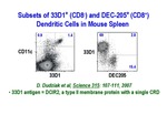 Subset of 33D1+ and DEC-205+ Dendritic Cells in Mouse Spleen by Steinman Laboratory