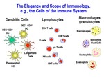 The Elegance and Scope of Immunology