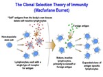 Clonal Selection Theory of Immunity by The Rockefeller University