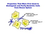 Properties Used to Distinguish Dendritic Cells by The Rockefeller University