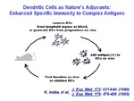 Dendritic Cells as Nature's Adjuvants by The Rockefeller University