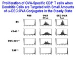 Proliferation of OVA - Specific CD8+ T Cells by The Rockefeller University