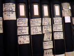 Rebecca Lancefield's files by The Rockefeller University