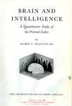 Brain and Intelligence, a Quantitative Study of the Frontal Lobes by Ward C. Halstead