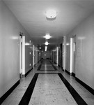Ahrens Laboratory. Corridor, 1962 by The Rockefeller University