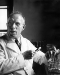 DUBOS IN HIS LABORATORY by The Rockefeller University
