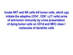 Innate NKT and MK Cells by Steinman Laboratory