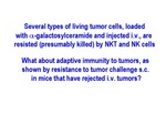 Several Types of Living Tumor Cells