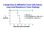 A Single Dose of J558/GalCer by Steinman Laboratory