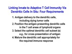 Linking Innate to Adaptive T Cell Immunity by Steinman Laboratory