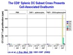 The CD8+ Splenic DC Subset Cross Presents Cell-Associated Ovalbumin by Steinman Laboratory