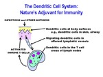 The Dendritic Cell System: Nature's Adjuvant for Immunity by Steinman Laboratory