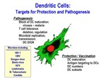 Dendritic Cells: Targets for Protection and Pathogenesis