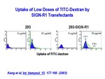 Uptake of Low Doses of TITC-Dextran by SIGN-R1 Transfectants by Steinman Laboratory