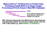 Measurement of T Cell Responses to Proteins by Steinman Laboratory