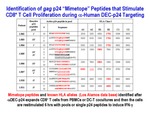 Identification of Gag p24 "Mimetope" Peptides by Steinman Laboratory