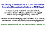 The Efficacy of Dendritic Cells in "Cross Presentation" by Steinman Laboratory