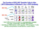 The Function of DEC-205+ Dendritic Cells In Vitro by Steinman Laboratory