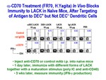 α-CD 70 Treatment In Vivo Blocks Immunity to LACK in Naive Mice by Steinman Laboratory