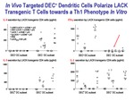 In Vivo Targeted DEC+ Dendritic Cells Polarize LACK Transgenic T Cells by Steinman Laboratory