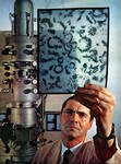 George Palade at the Microscope